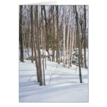 Snow Birches Cards