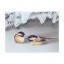 SNOW BIRDS by SHARON SHARPE Post Cards