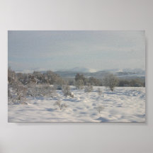 Snow Blanket Print