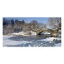 Snow Bridge and Ice Central Park Custom Photo Card