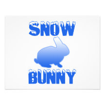 Snow Bunny Announcements