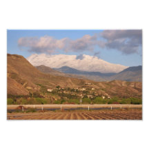 Snow-capped Mount San Jacinto Photograph