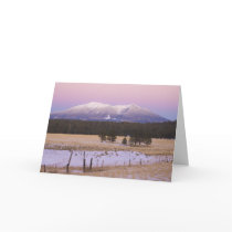 Snow Capped San Francisco Peaks at Sunset