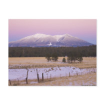 Snow Capped San Francisco Peaks at Sunset