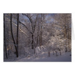 Snow Card