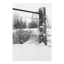 Snow Country 2 Art Photo