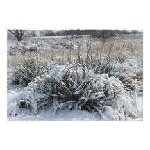 Snow Country 3 Photo Art