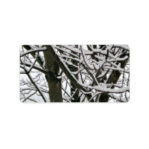Snow Covered Branches Custom Address Labels