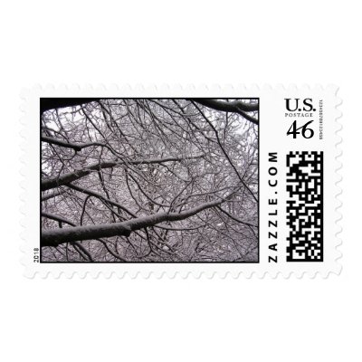Snow Covered Branches Postage Stamp by Justngage