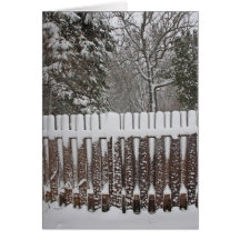 Snow Covered Fence Cards