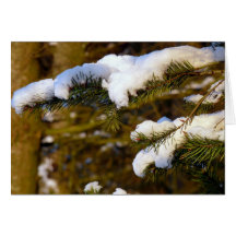 Snow covered fir! greeting card