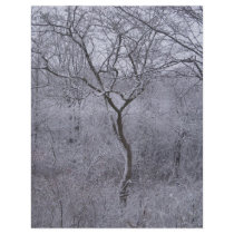 Snow-covered flora and trees in Upstate New York Personalized Flyer
