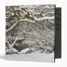 Snow-covered Japanese maple 2 Vinyl Binders