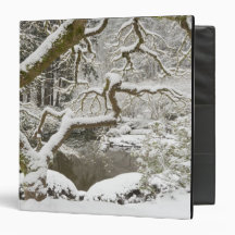 Snow-covered Japanese maple 3 Ring Binders