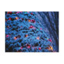 Snow Covered Tree With Holiday Lights Postcard 