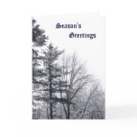 Snow-covered Trees: Vertical