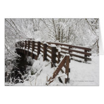 Snow Covered Wooden Bridge Cards