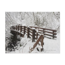 Snow Covered Wooden Bridge Postcard