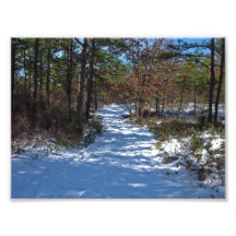 Snow Covered Woodland Path in Winter Photograph