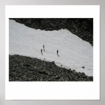 Snow Crater Poster