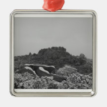snow fall christmas ornaments