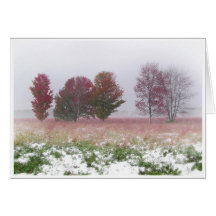 Snow fields , greeting card