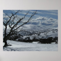 Snow fields poster