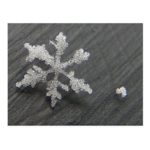 Snow Flake 44 ~ postcard