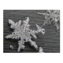 Snow Flake 45 ~ postcard