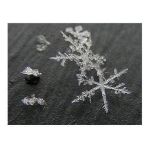 Snow Flake 49 ~ postcard