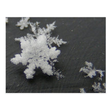 Snow Flake 73 ~ postcard