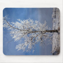 Snow, fog and tree covered with rime ice, Orem, Ut Mouse Pad