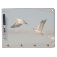 Snow Geese Dry Erase Board