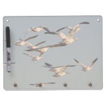 Snow Geese Dry Erase Board