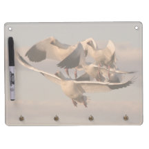 Snow Geese Dry Erase Board