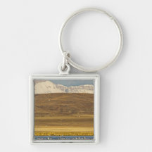 Snow geese during spring migration key chain