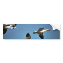 Snow Geese in Flight Bumper Stickers