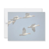 Snow Geese in Flight Custom Invite