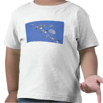 Snow geese take flight at Freezeout Lake NWR Shirts