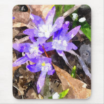 Snow Glories Watercolor