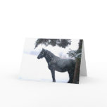 Snow Horse Card
