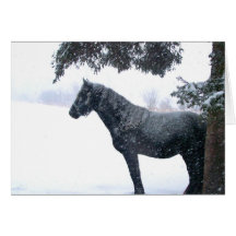 Snow Horse Card