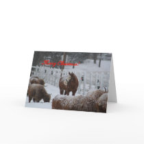 Snow horse, Merry Christmas! Cards