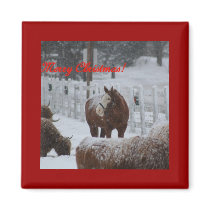 Snow horse, Merry Christmas! Fridge Magnets