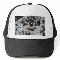 Snow Images, Snow Cat Trucker Hats