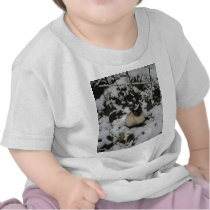 Snow Images, Snow Cat Tee Shirt
