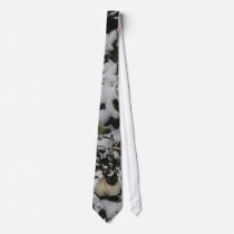 Snow Images, Snow Cat Neck Wear