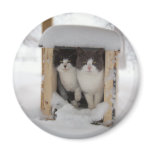 Snow Kittens Refrigerator Magnets