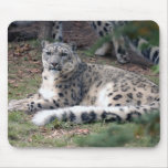 snow leopard 26 mouse pad