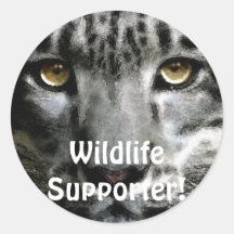 Snow Leopard Endangered Species Stickers